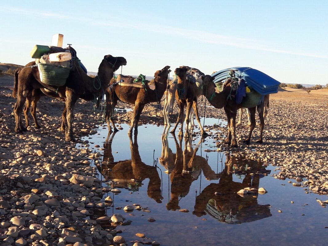 Karim Sahara Trekking